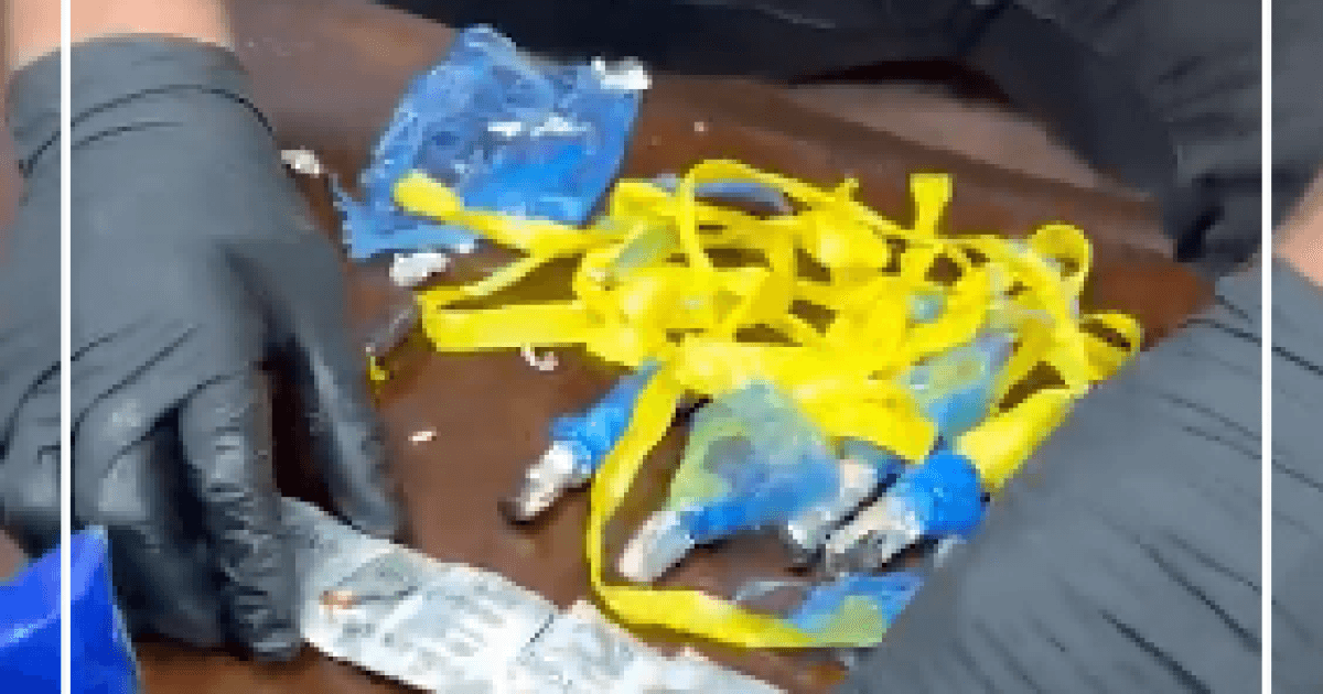 Jenin police recover suspected drugs