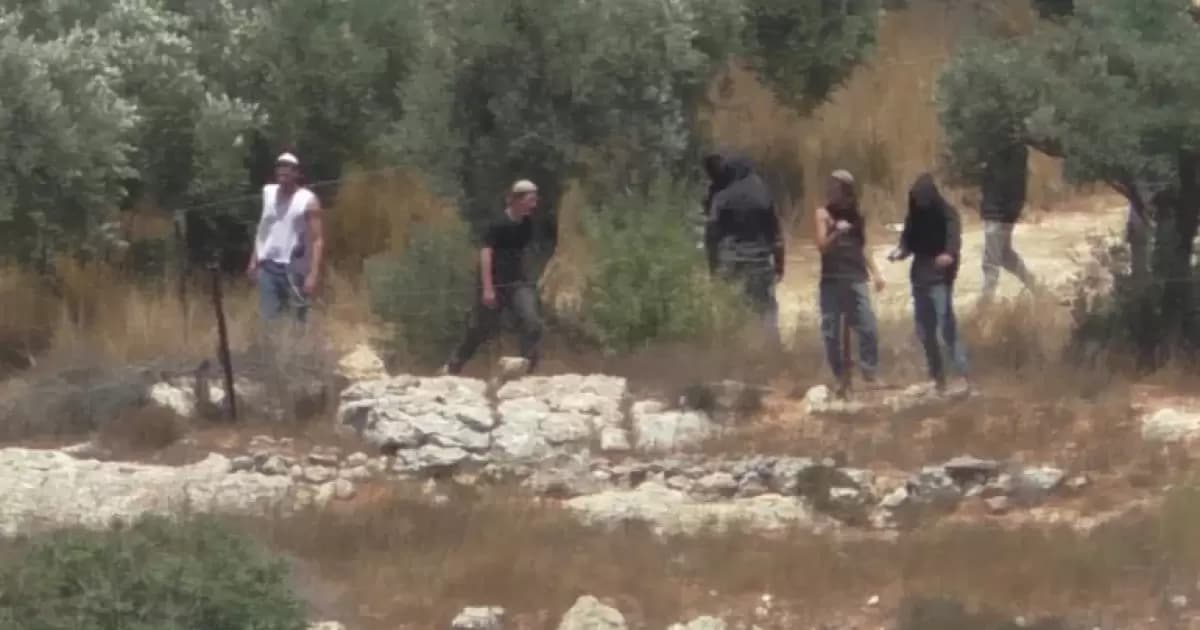 حقوق الإنسان: مقتل 4 فلسطينيين في تل يظهر تداخل قوات الاحتلال والمستوطنين