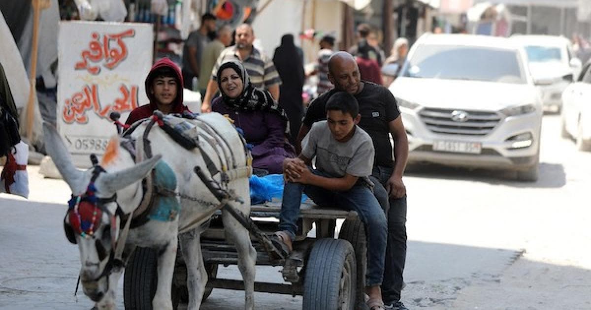 Gaza Displaced Seek Normalcy