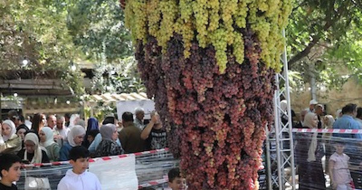 مهرجان العنب والتراث في الخليل