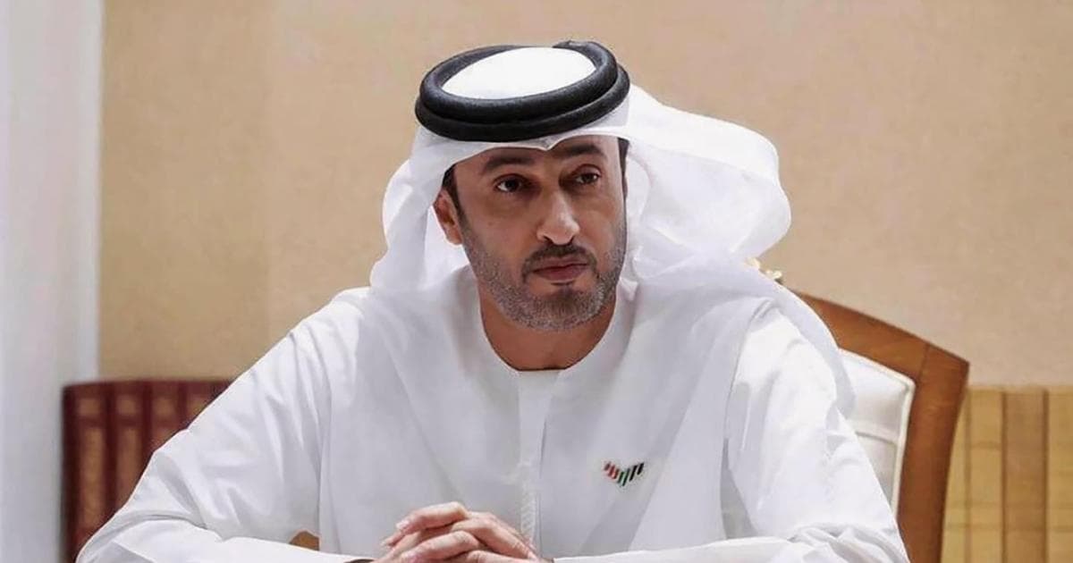 Emirati report details airport suicide plot