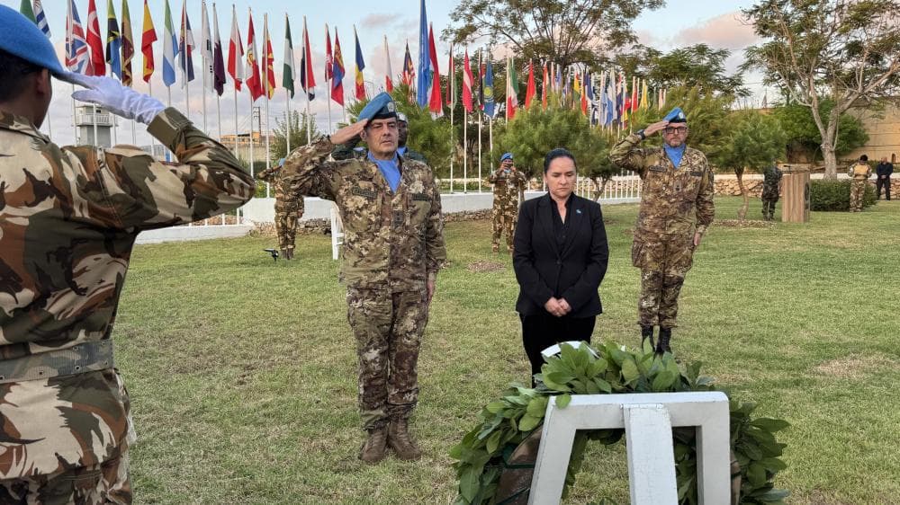 Abayara: Resolution 1701 Guides South Lebanon Peace