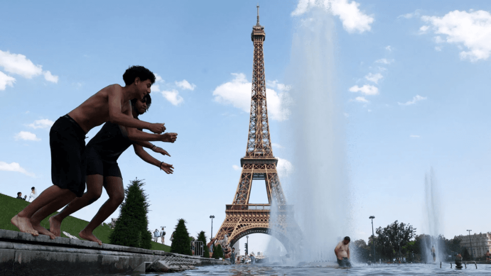 France reports 8000 heatwave deaths