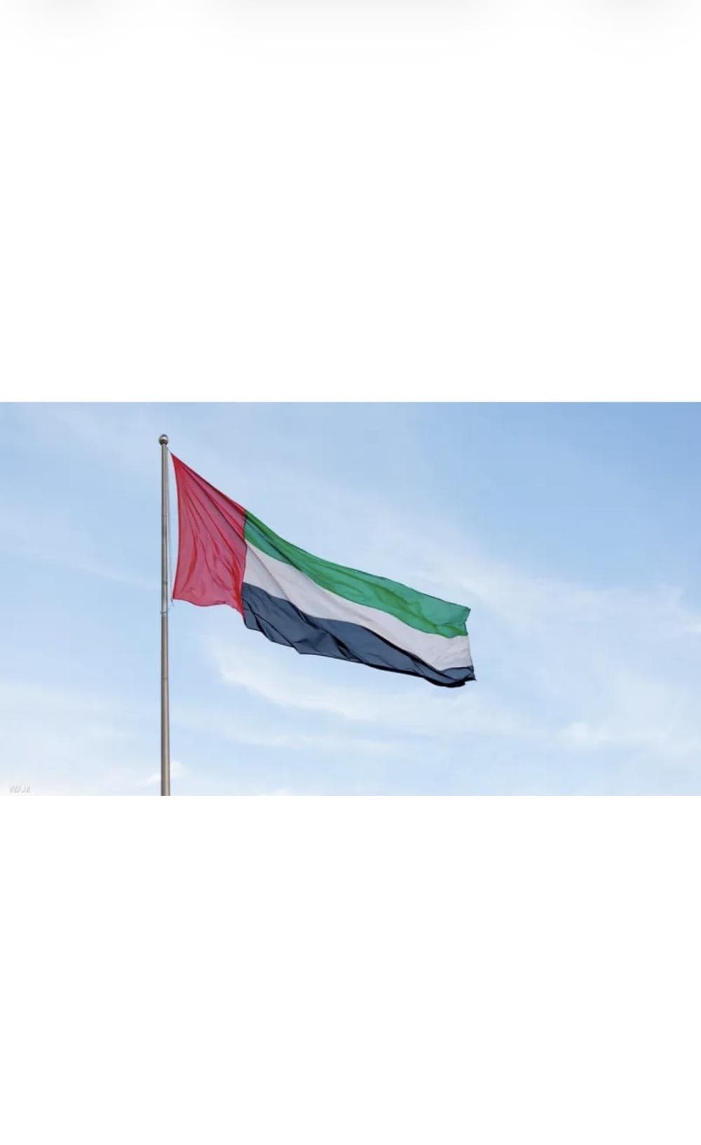 UAE and Sweden Break Money Laundering Ring