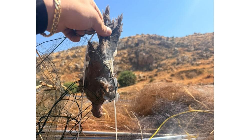 شباك صيد بمساحة واسعة بقبضة الأمن بالاقليم