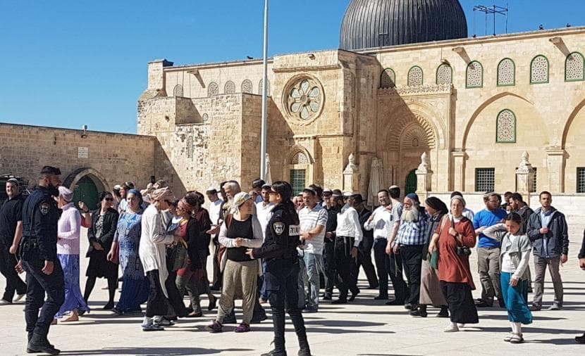 181 مستوطنًا يشنون اقتحام الأقصى
