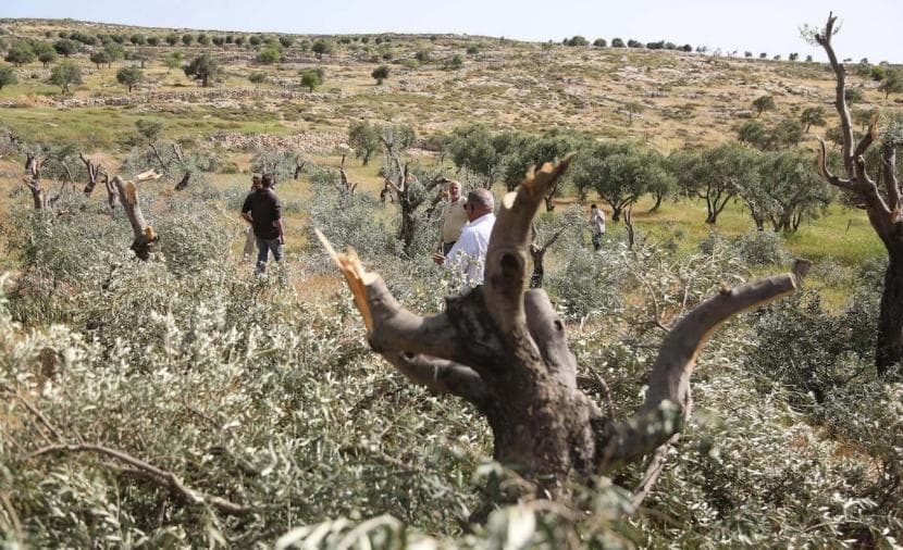 الاحتلال يخطر بمصادرة أراضٍ في جبع