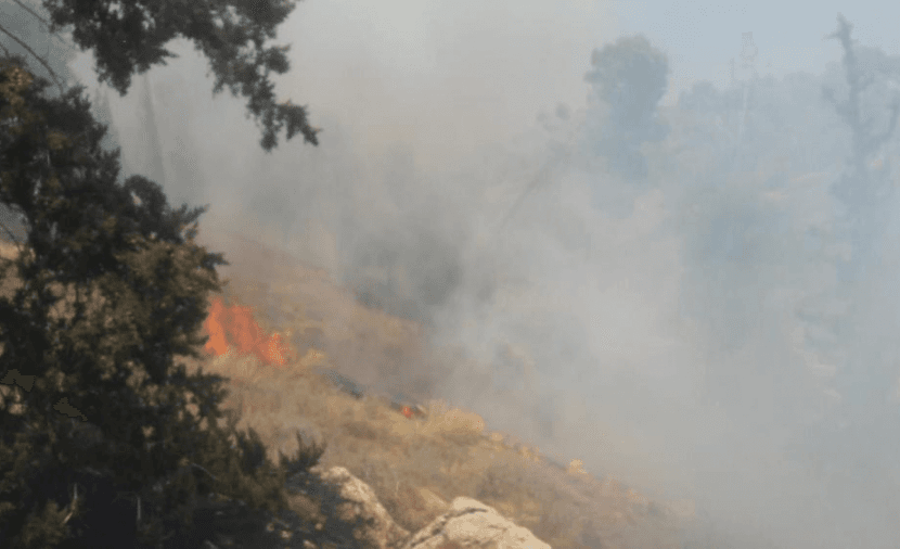 Settlers torch olive trees in Birqa