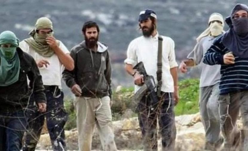 Two women hurt in settlers' attack near Tulkarem