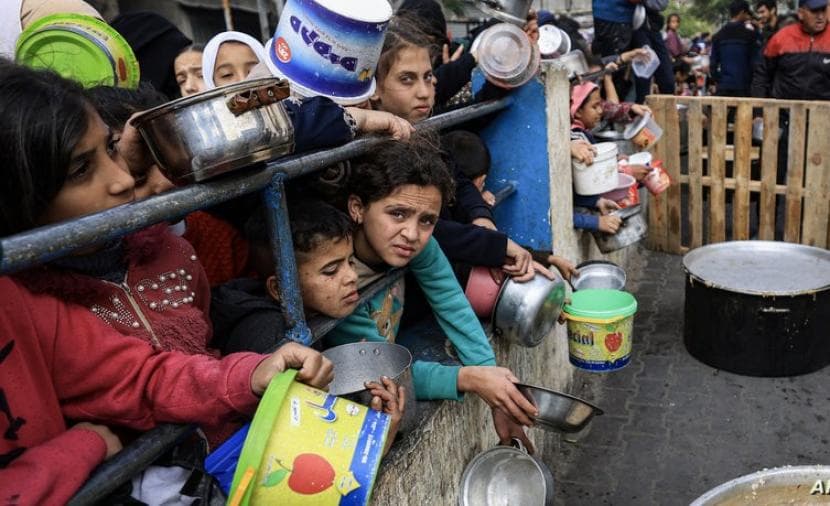 Palestinian Journalists Urge Media to Highlight Gaza Starvation