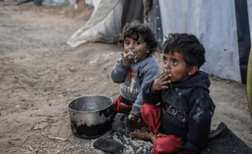 غزة الصحة تحذر من سوء التغذية