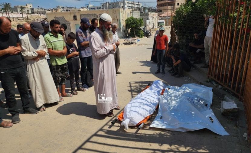 Casualty Update After Ceasefire