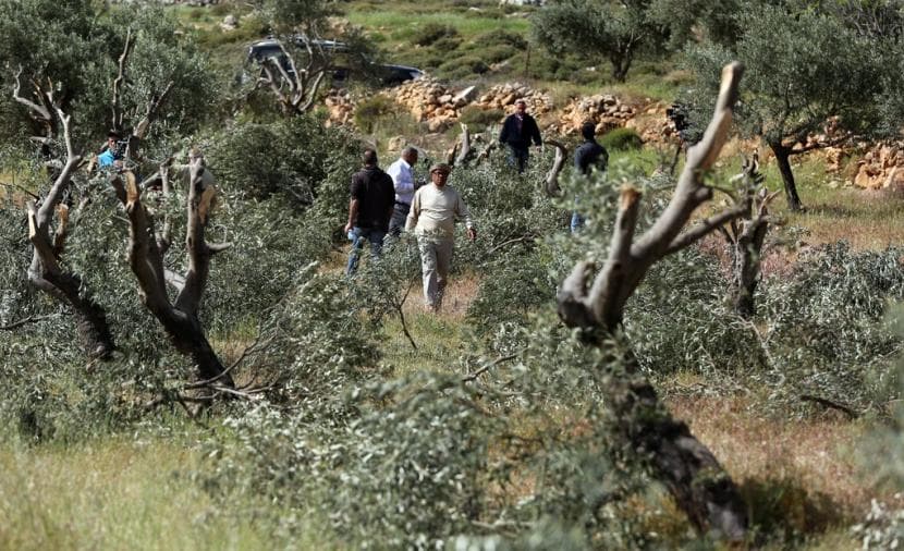 Occupation detains residents south of Bethlehem