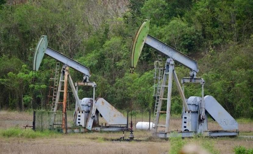 Oil prices fall amid China-Iran report