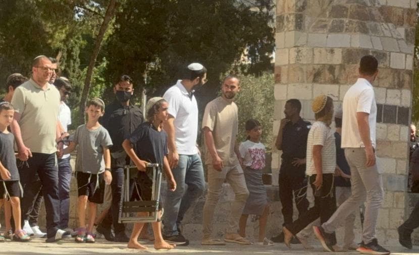 204 settlers enter Al-Aqsa courtyards