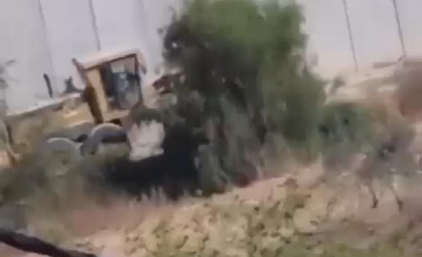 الاحتلال يعزز التوسع في جنوب الخليل