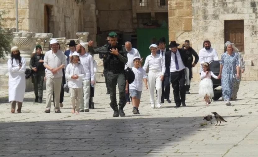Al-Hekal Groups Prepare for Major Al-Aqsa Entry