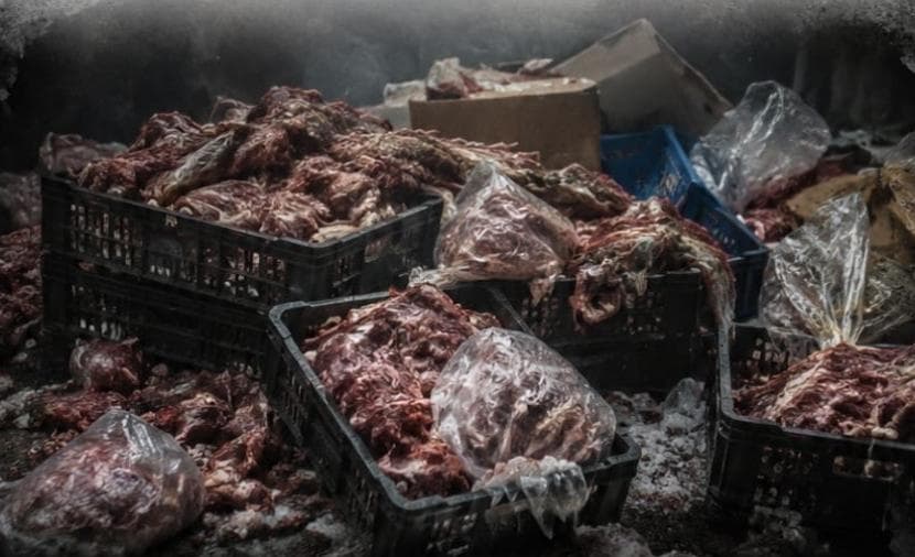 Gaza destroys 2 tons of meat after cooling failure