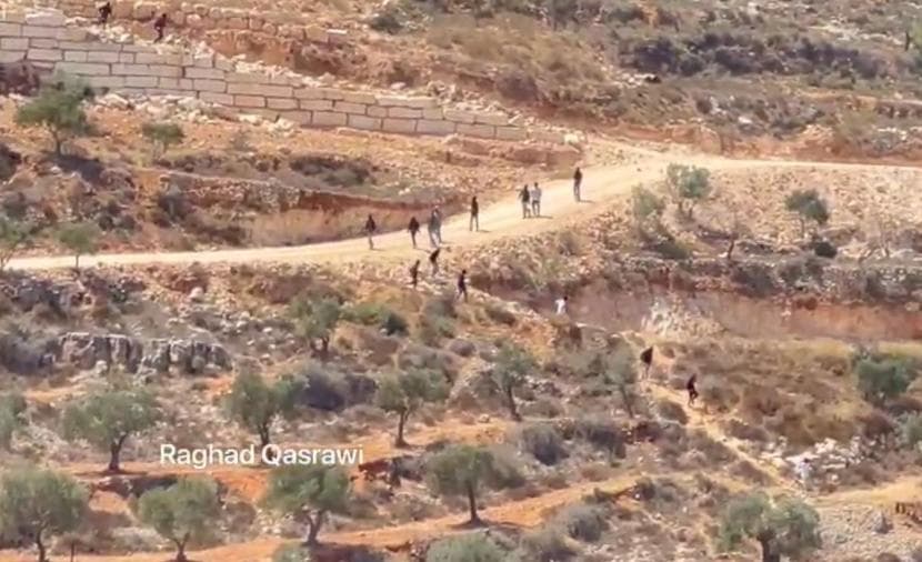 Settler attack injures resident in Qasra