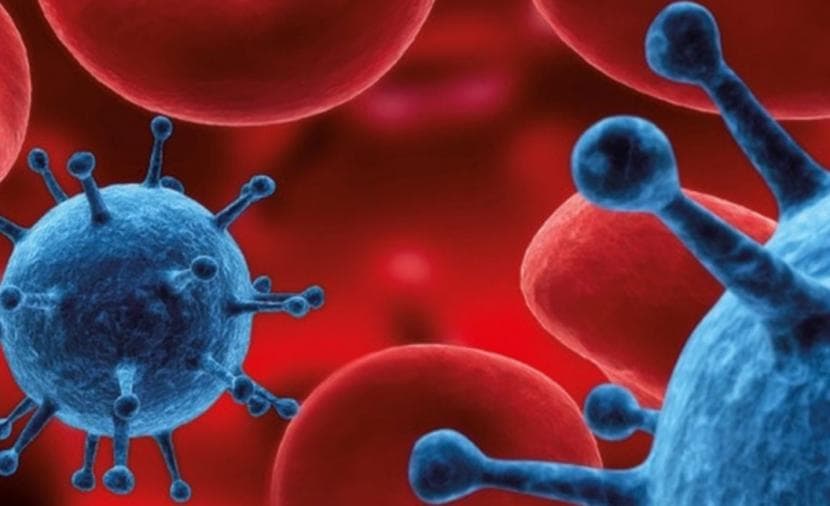Russian scientists create cancer detection tool