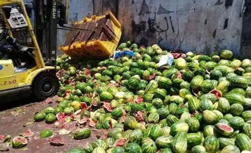 إتلاف فواكه غير صالحة في غزة