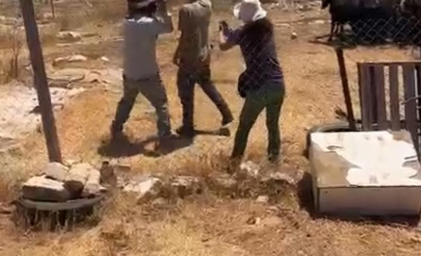 Settlers attack residents in Naif Al-Khabana