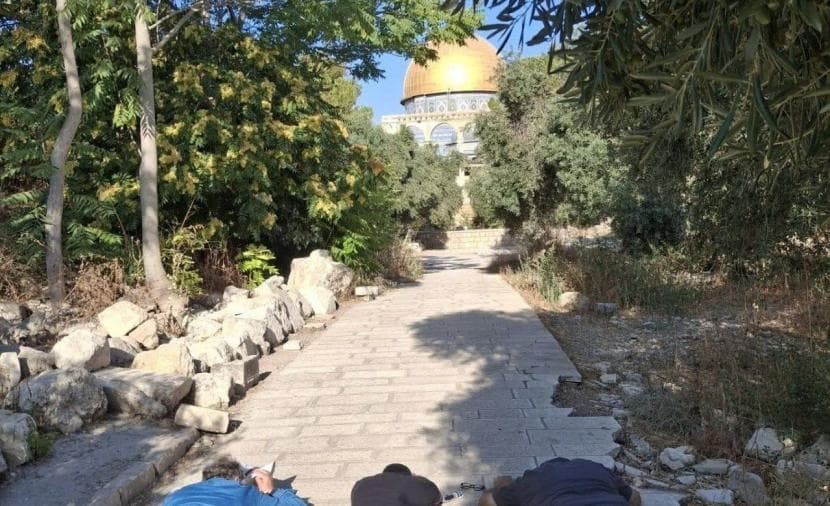170 مستوطنًا يقتحمون الأقصى ويؤدون انبطاحًا قرب الصخرة