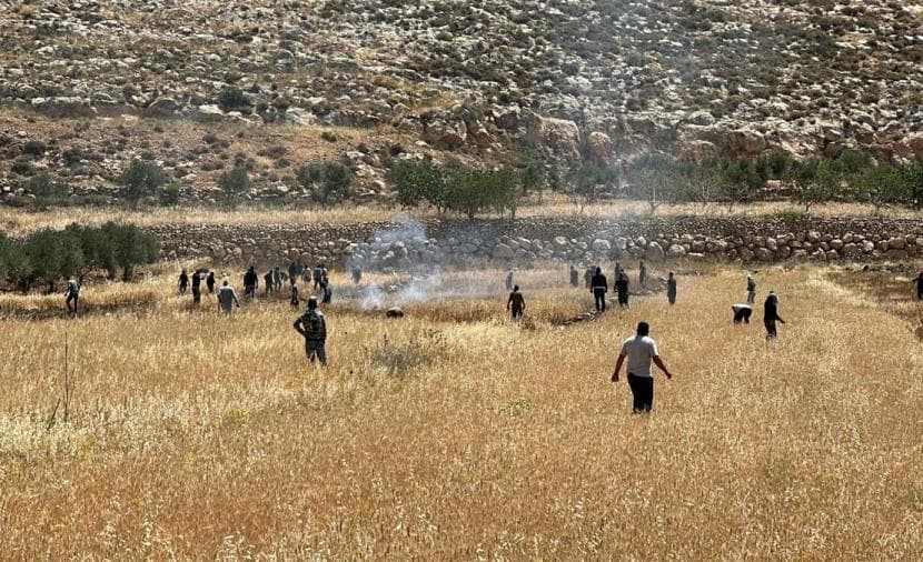 مستوطنون يضرمون النيران في أراض بزجلجليا