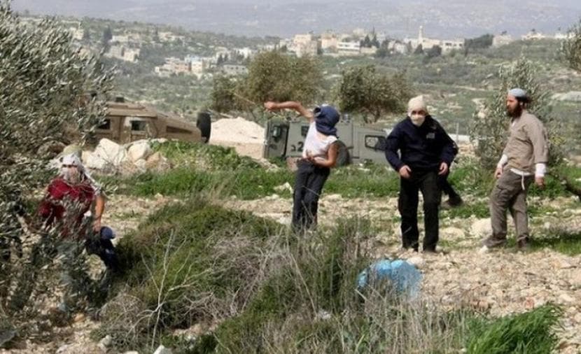 Settlers damage water pipeline in Tubas
