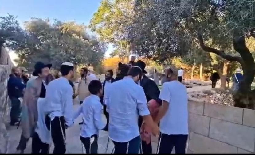 159 settlers storm Al-Aqsa