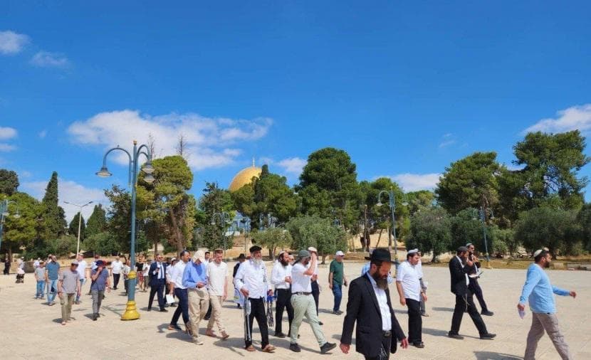 179 settlers enter Al-Aqsa courtyards