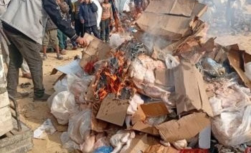 Gaza destroys 16 tons of bad frozen chicken