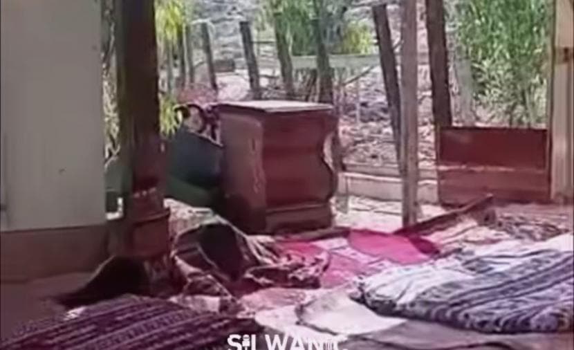 الاحتلال يجبر مقدسيًا على هدم حظيرة للأغنام في بيت حنينا