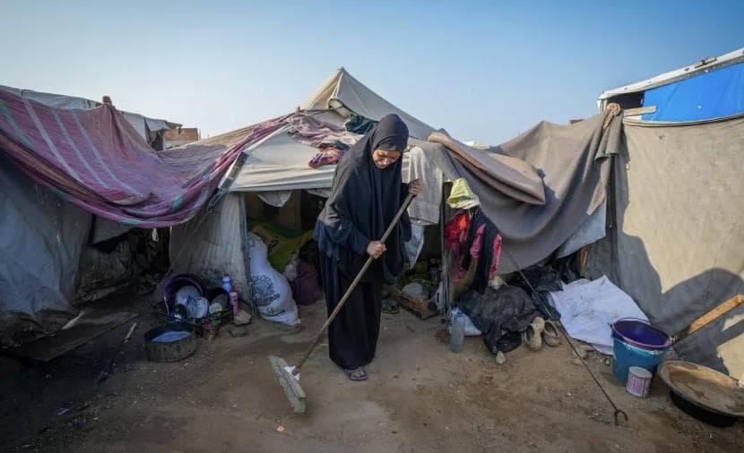 Gaza camps face rising health threats from heat and pests