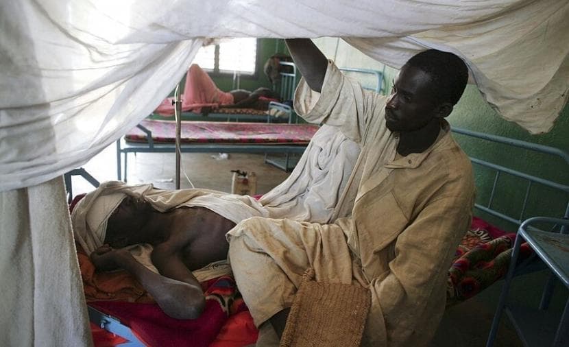 Chad Cholera Outbreak Kills 13