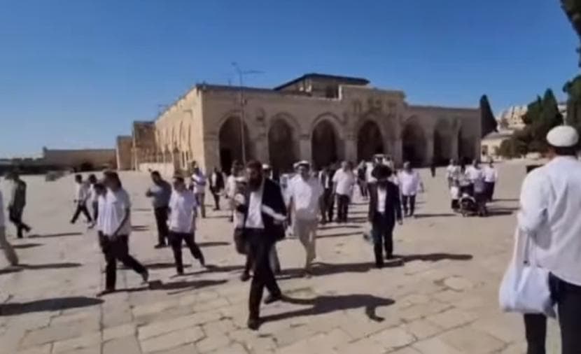 مستوطنون يقتحمون الأقصى بقيادة غليك