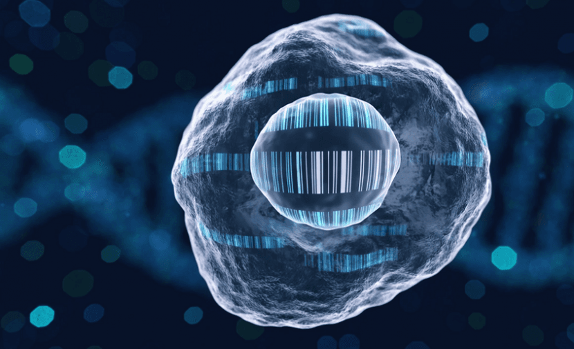 New barcode detects aging cells without harm