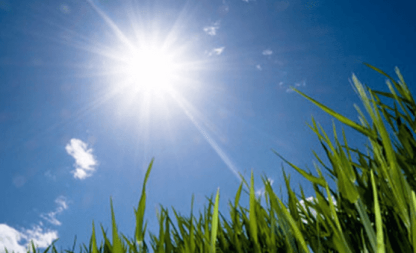Palestinian Weather: Cooler, Rainfall