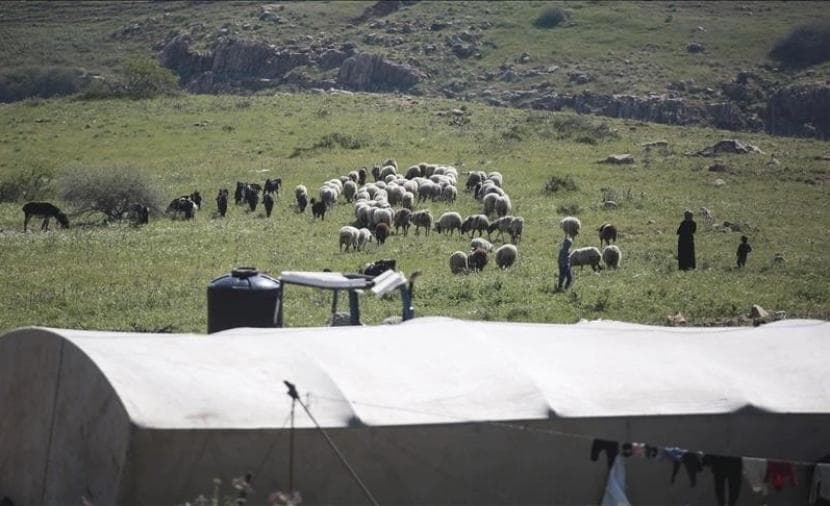 Settlers Attack Bedouins near Nablus