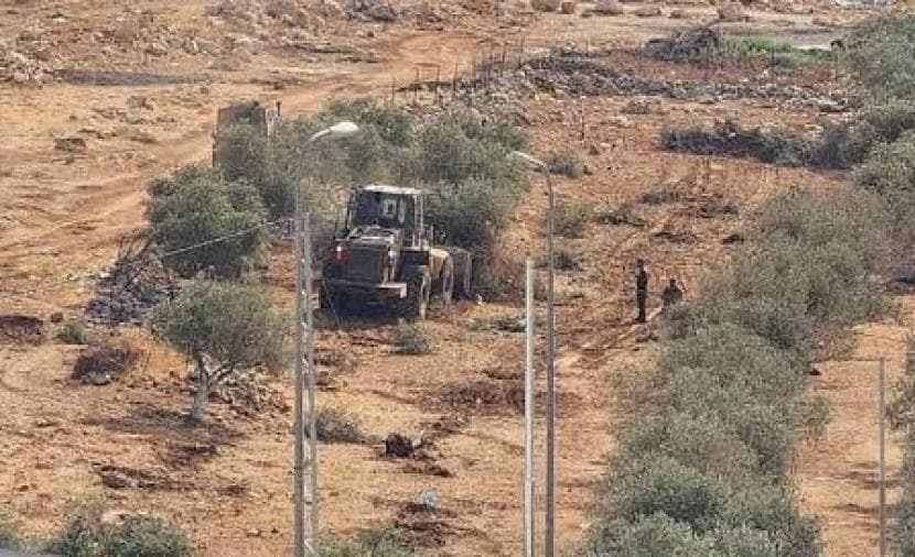 الاحتلال يقطع أكثر من 400 شجرة زيتون في بيت ريما