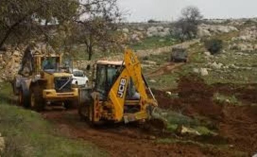 Occupation uproots olive trees in Deir Balout