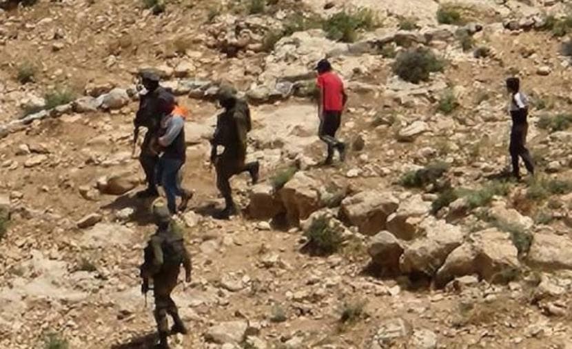 West Bank settler incursions and land destruction