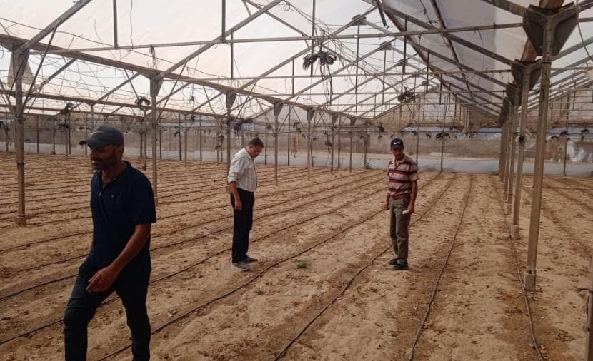 الزراعة تحذر من نقص المستلزمات يهدد الموسم الخريفي بخانيونس