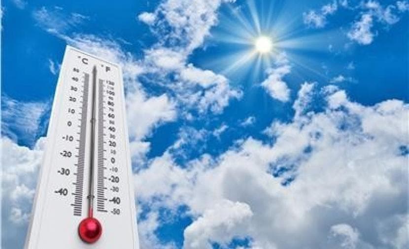 Palestine Weather: Hot and Above Average