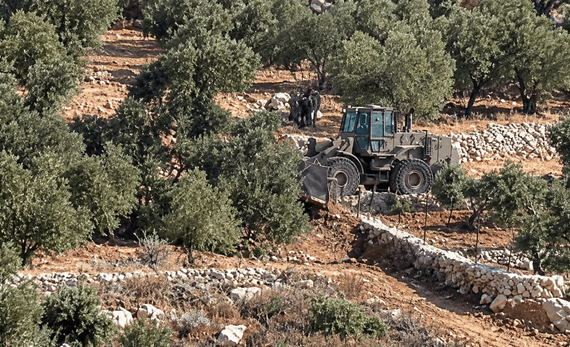 Beit Rima Olive Yard Face Destruction