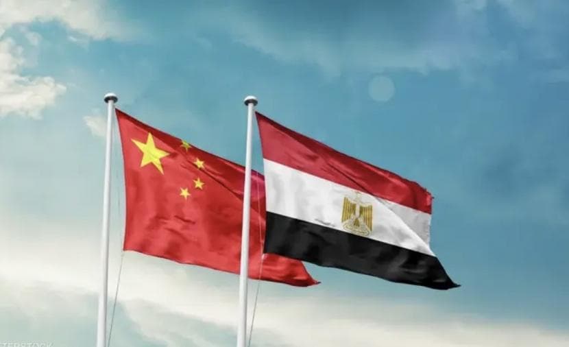 مصر والصين تشددان على القضية الفلسطينية