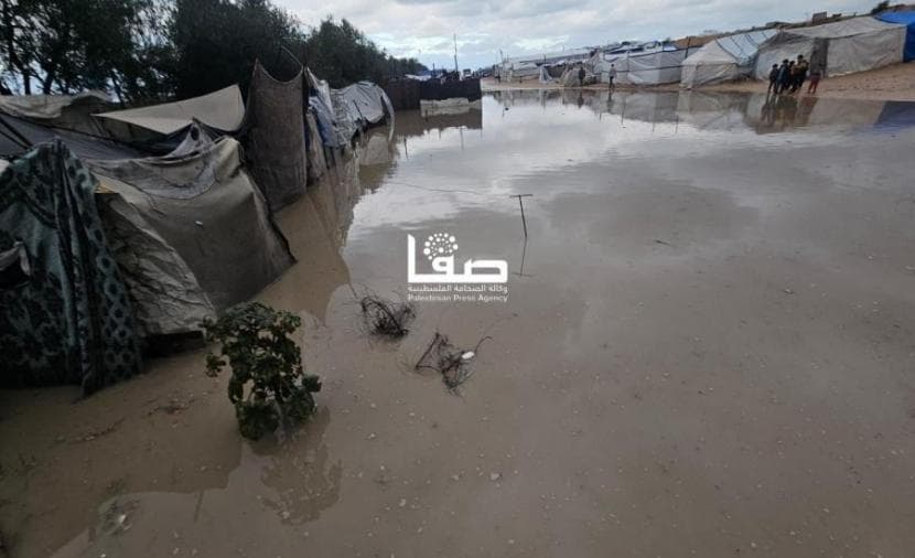 عجز 60% يهدد 162 ألف خيمة بغزة