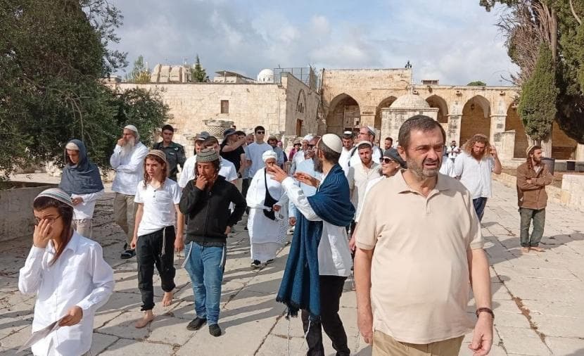 966 settlers storm Al-Aqsa on fourth day