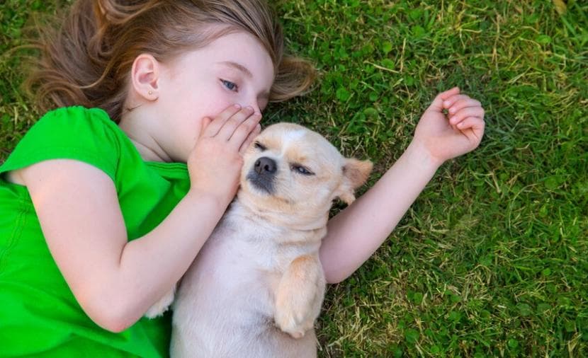 AI could allow animal communication by 2030
