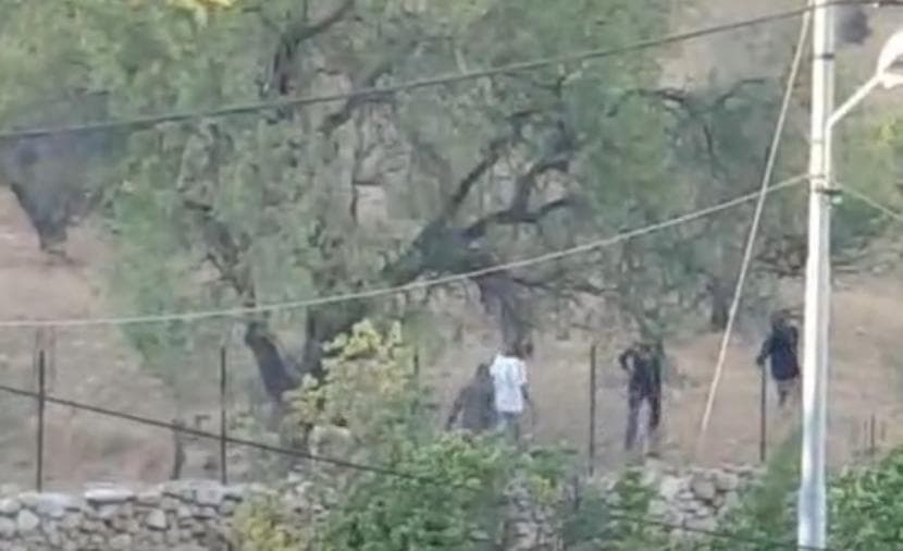 Settlers attack Kharba Al-Hama in Jordan Valley